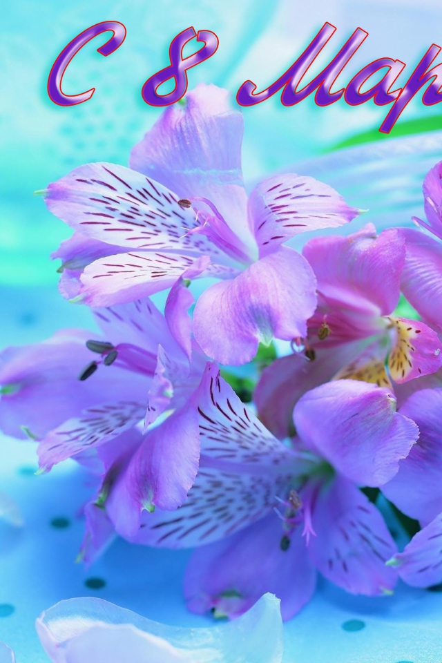 Сиреневые цветы на 8 марта