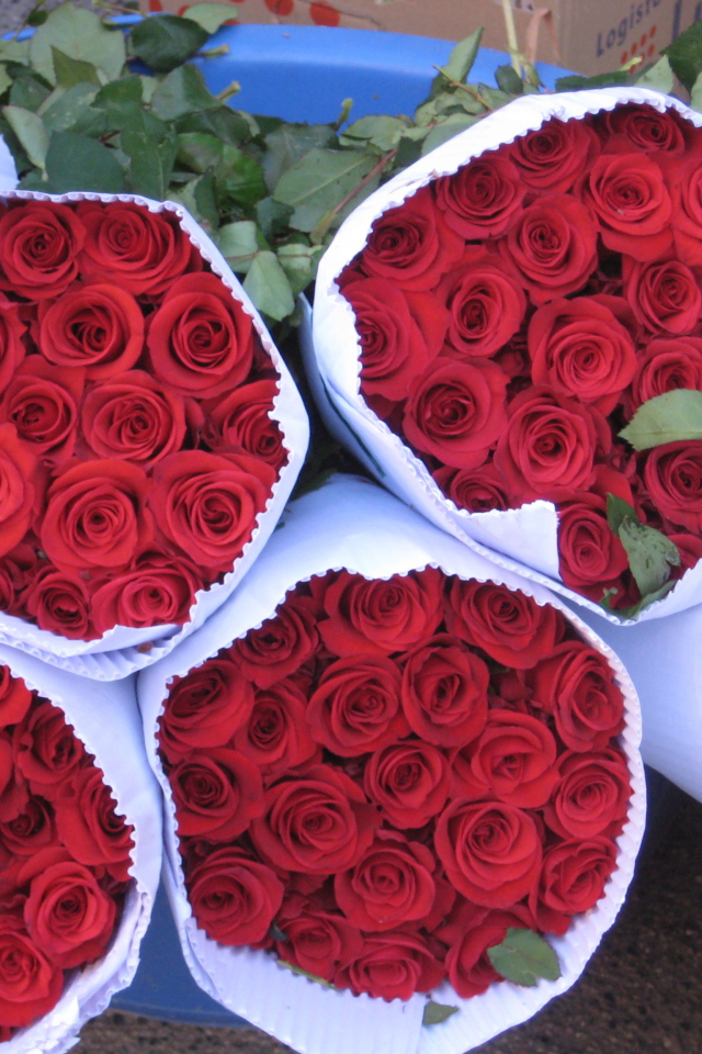 Роскошные букеты красных роз на 8 марта