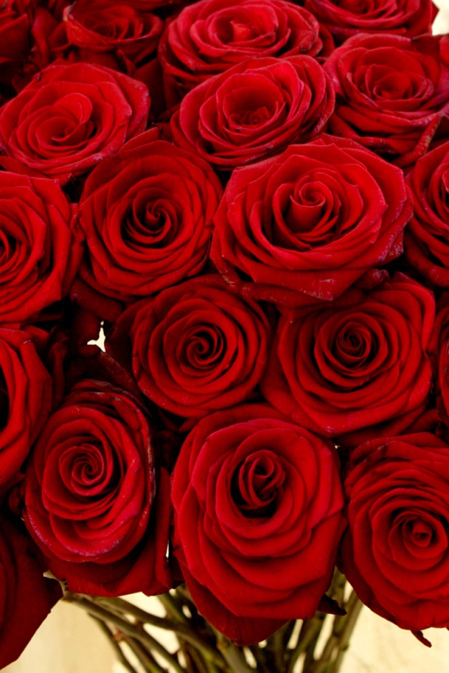 Нарядный букет красных роз на 8 марта