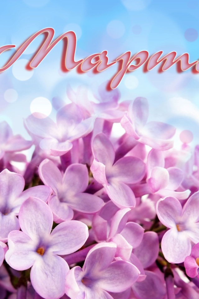 Первоцвет на 8 марта