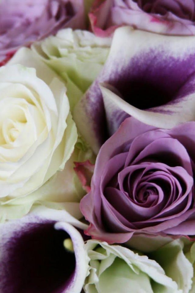 Фиолетовые розы в красивом букете на восьмое марта