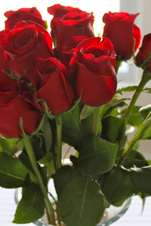 Красные розы на 8 марта