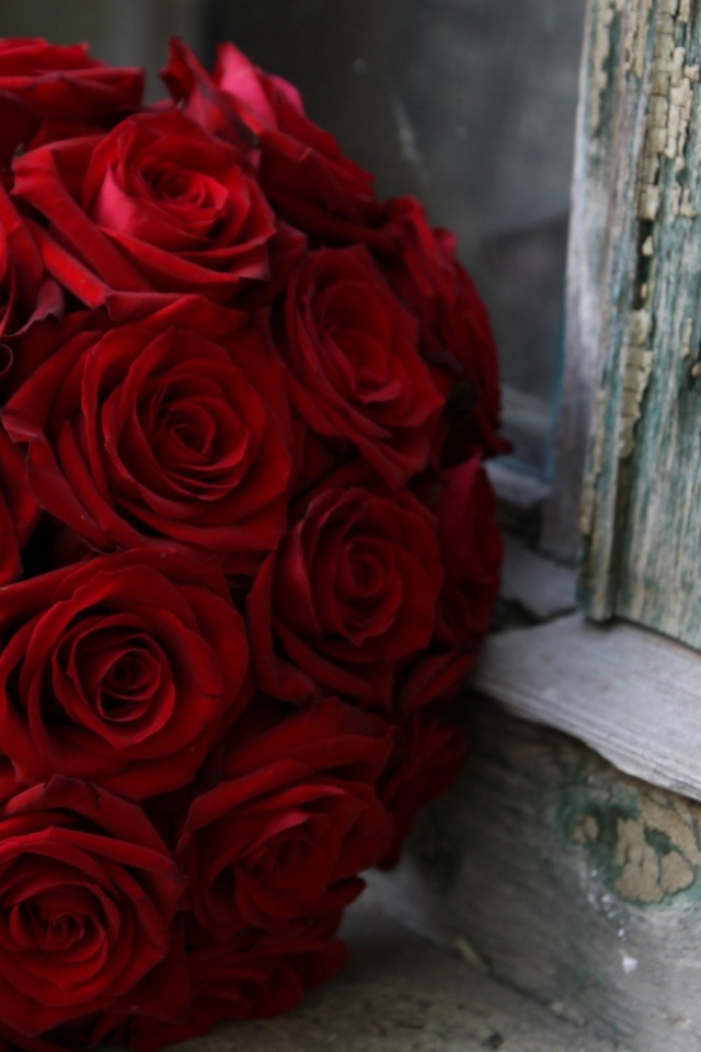 Красные розы на 8 марта возле окна