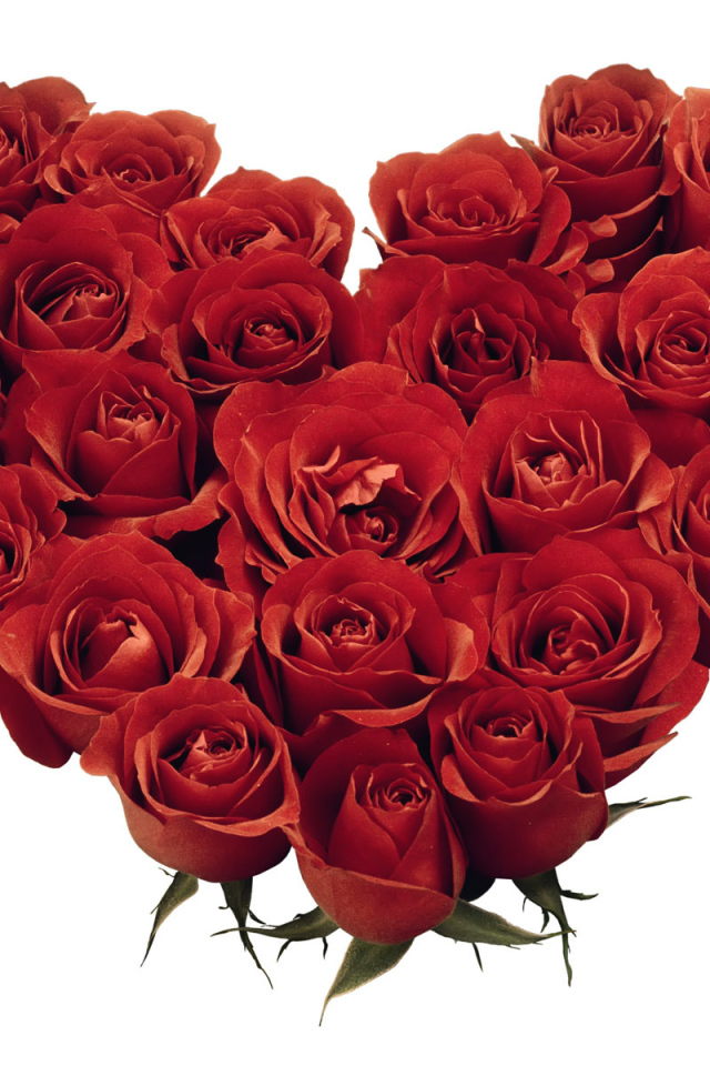 Красные розы на 8 марта в форме сердца