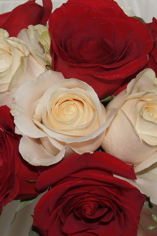 Красные розы на 8 марта с белыми розами