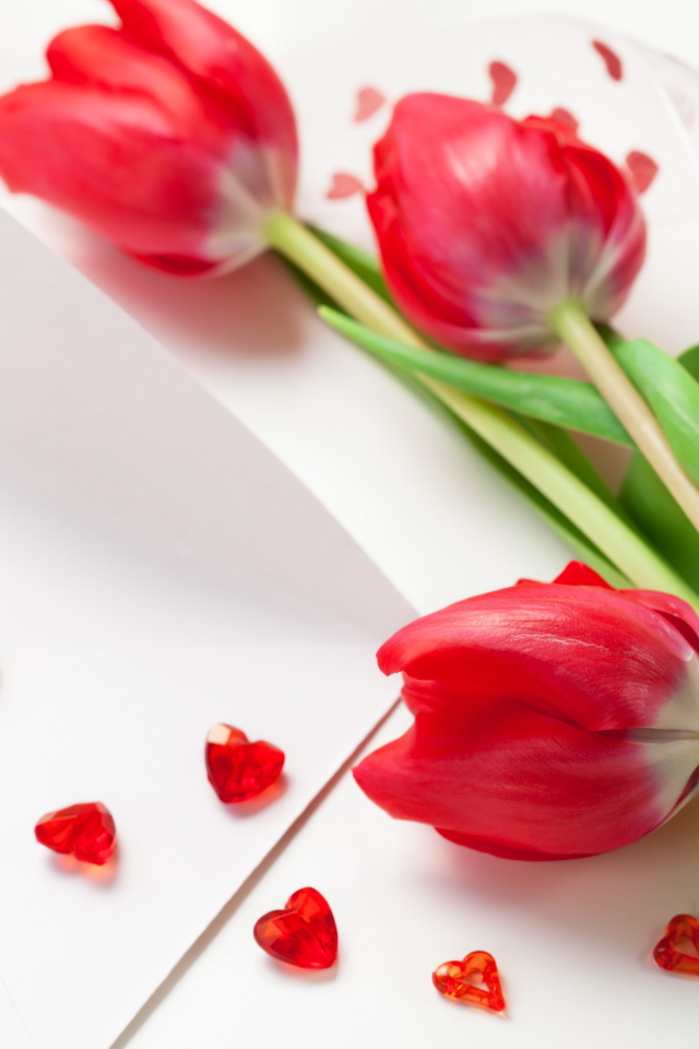 Красные тюльпаны на 8 марта