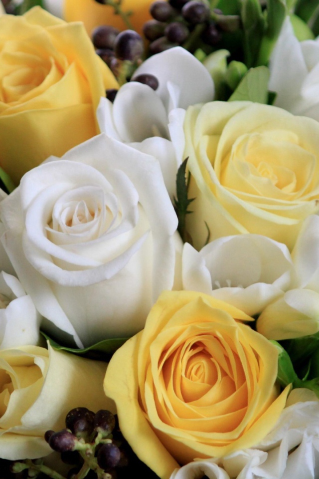 Белые и жёлтые розы в букете на восьмое марта