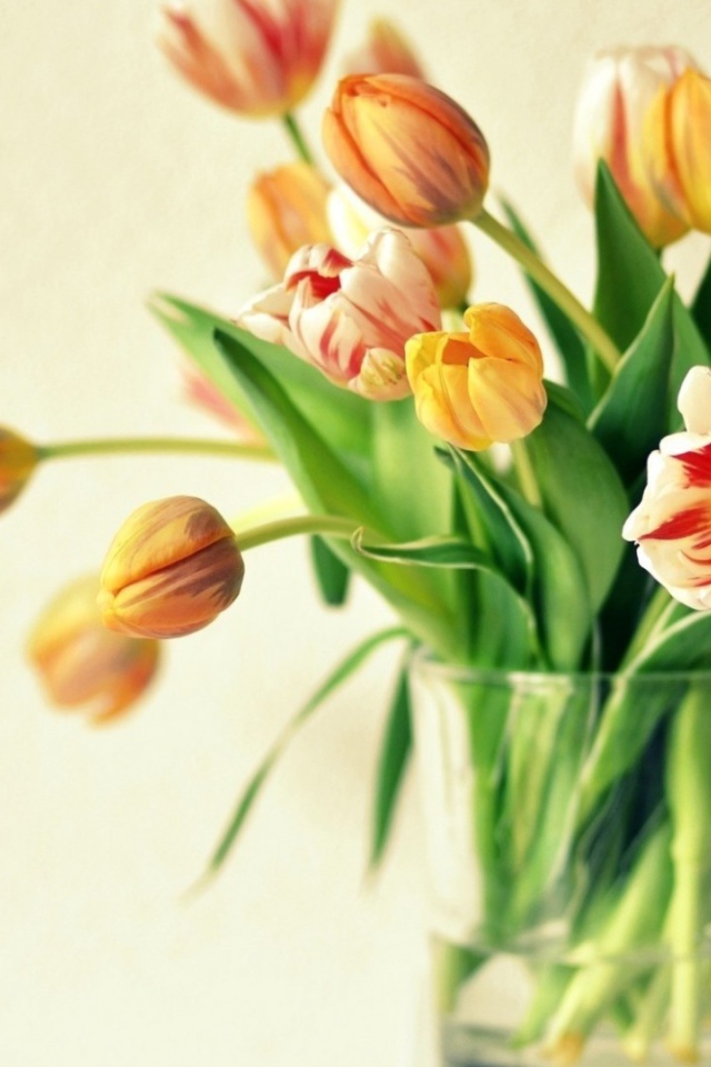 Жёлтые тюльпаны в подарок на восьмое марта
