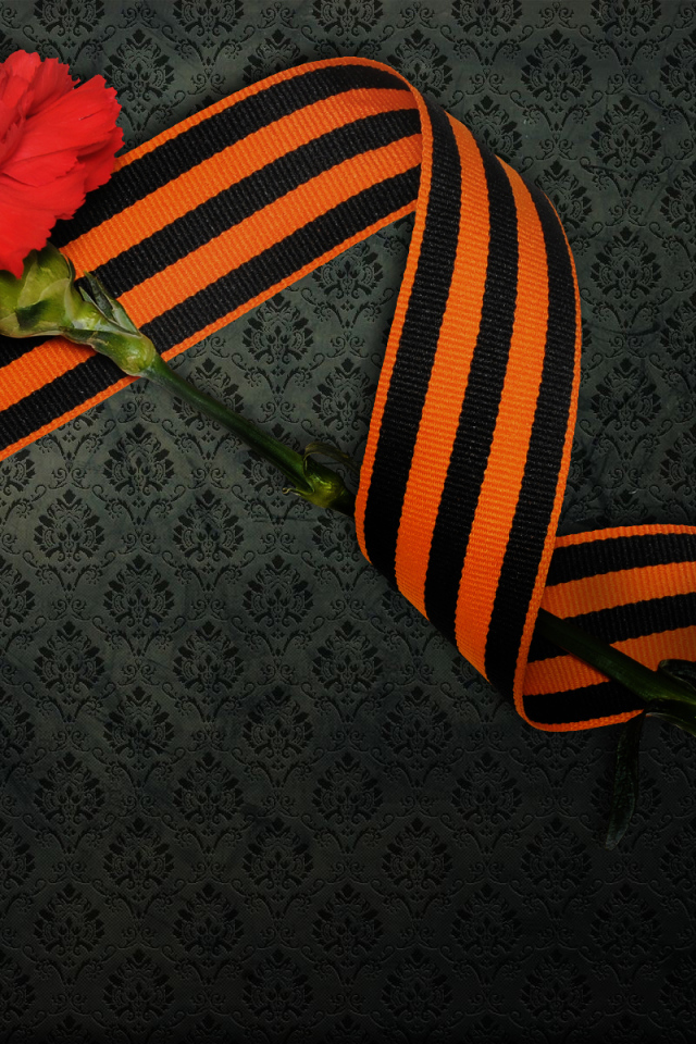 Гвоздика в День Победы 9 мая