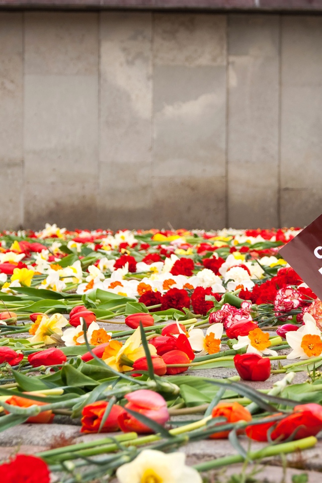 Цветы у памятника в День Победы 9 мая