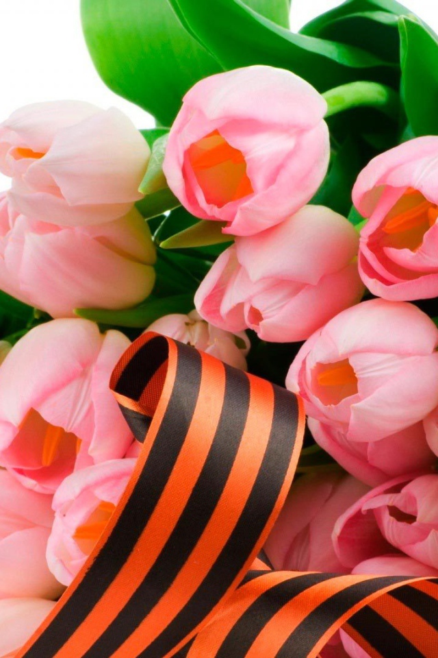 Тюльпаны в День Победы 9 мая