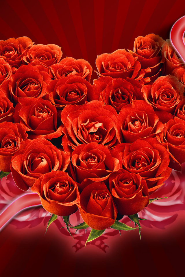 Букет красных роз на День Святого Валентина