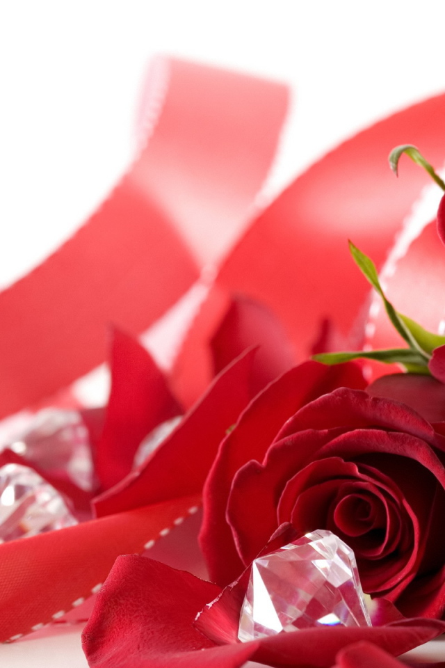 Букет роз на День Святого Валентина 14 февраля