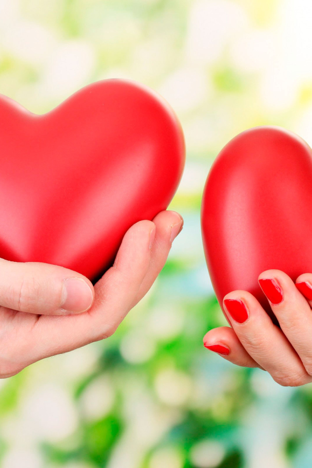 Сердца в руках на День Святого Валентина 14 февраля