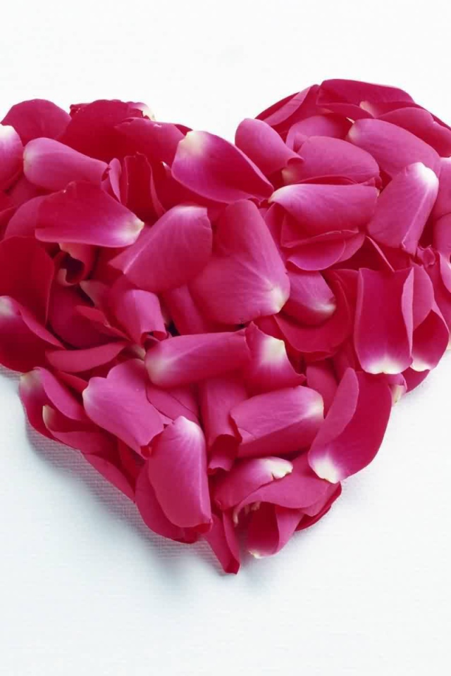 Сердце из красных лепестков на День Влюбленных 14 февраля