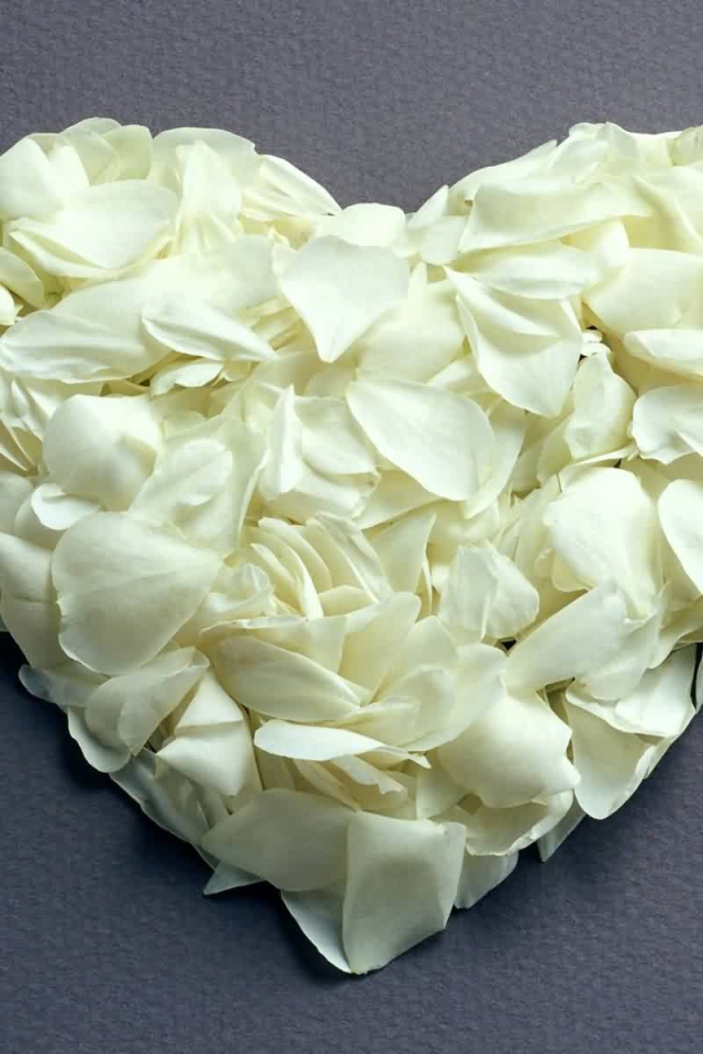 Сердце из белых лепестков на День Святого Валентина