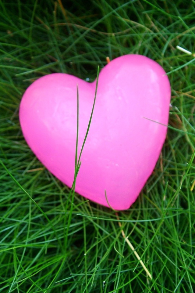 Розовое сердечко на траве