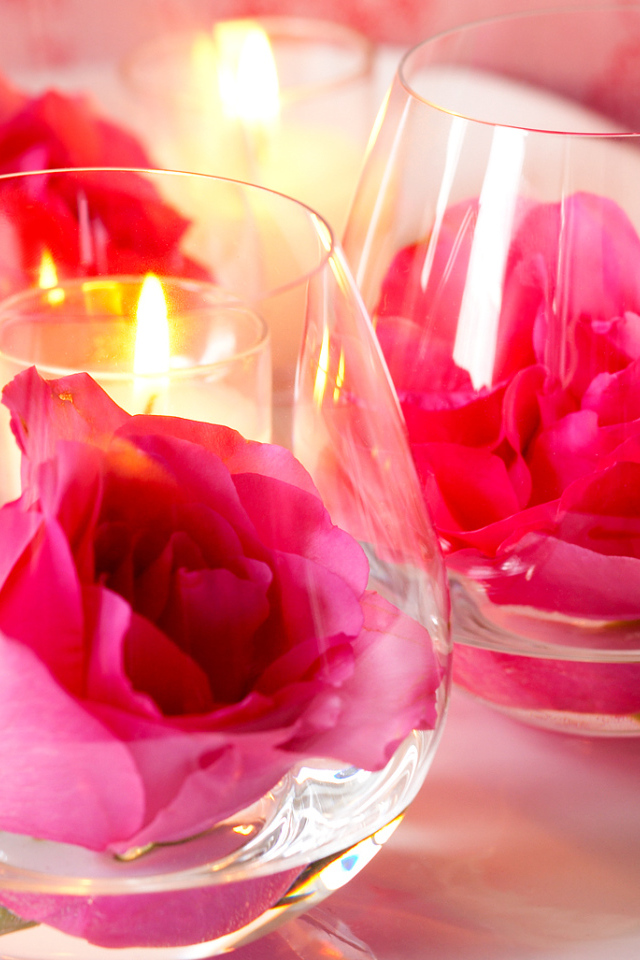 Rose in glass for Valentine's Day