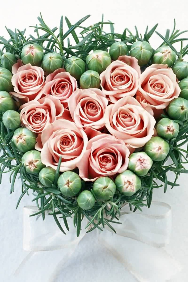 Розы и бутоны на День Святого Валентина