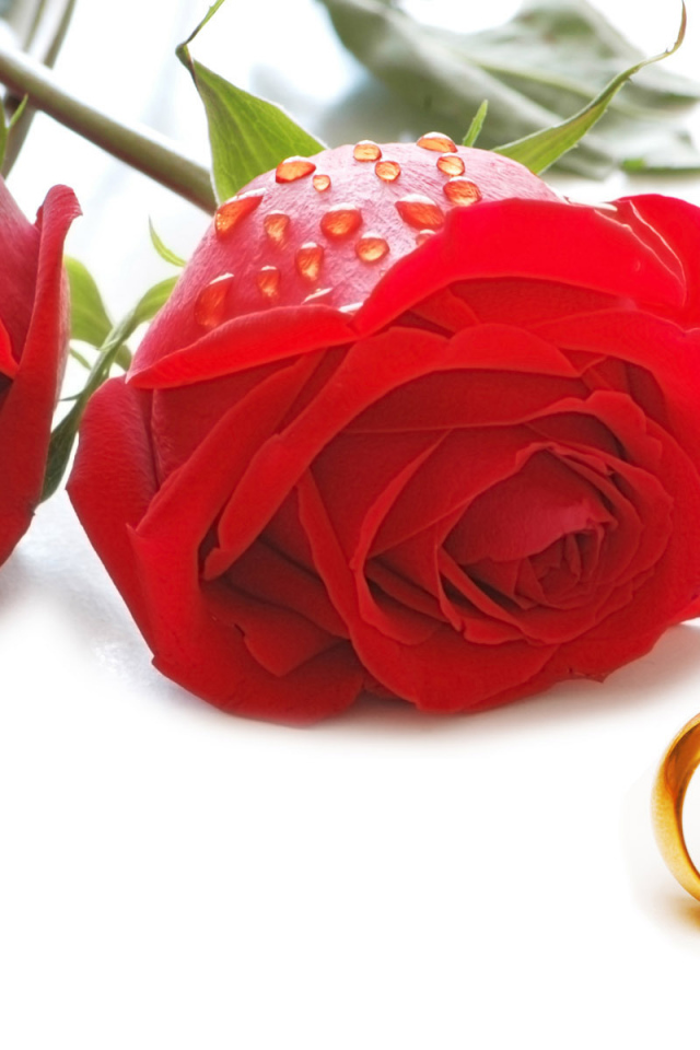 Розы и кольца на День Святого Валентина
