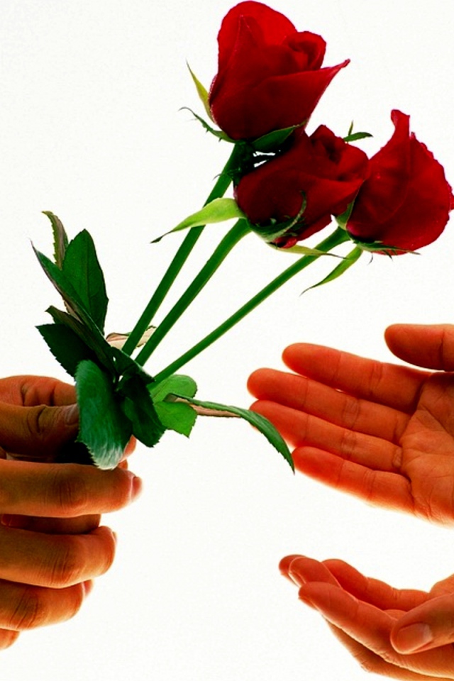 Розы на День Святого Валентина 14 февраля