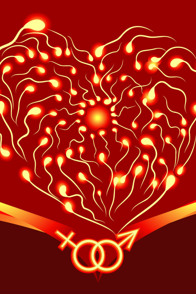 Инь Янь на День Святого Валентина 14 февраля