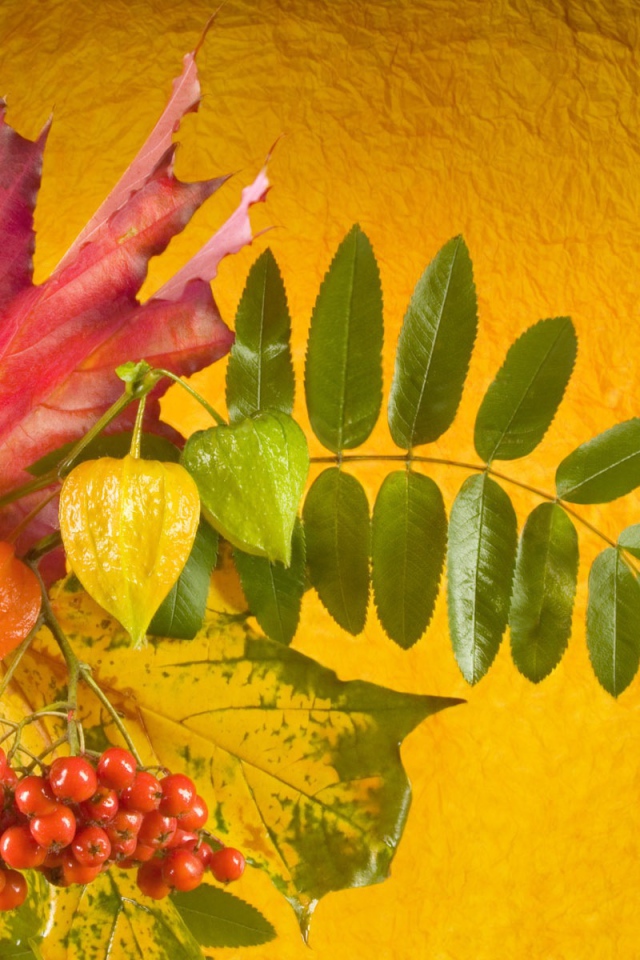 Осенний букет в День знаний 1 сентября