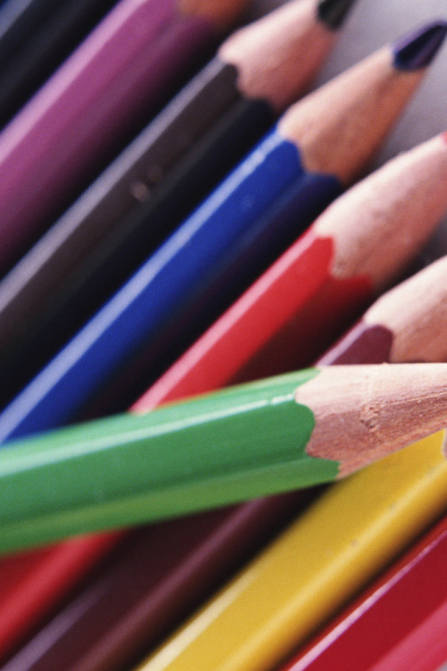 Карандаши в День знаний 1 сентября