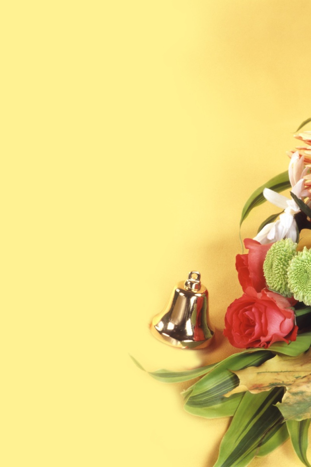 Красивые обои в День знаний 1 сентября