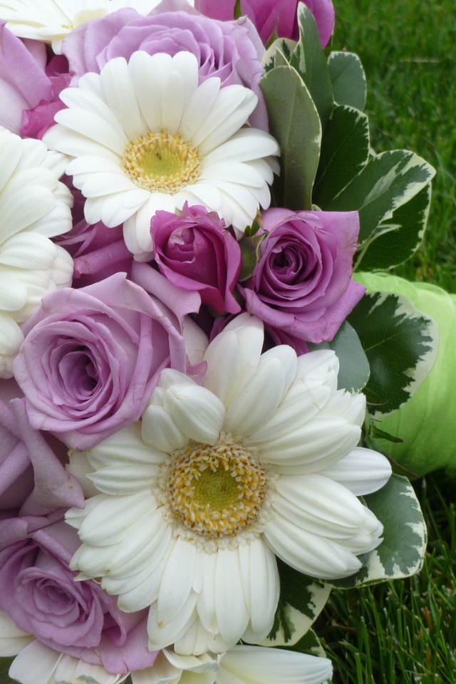 Фиолетовые розы в красивом букете