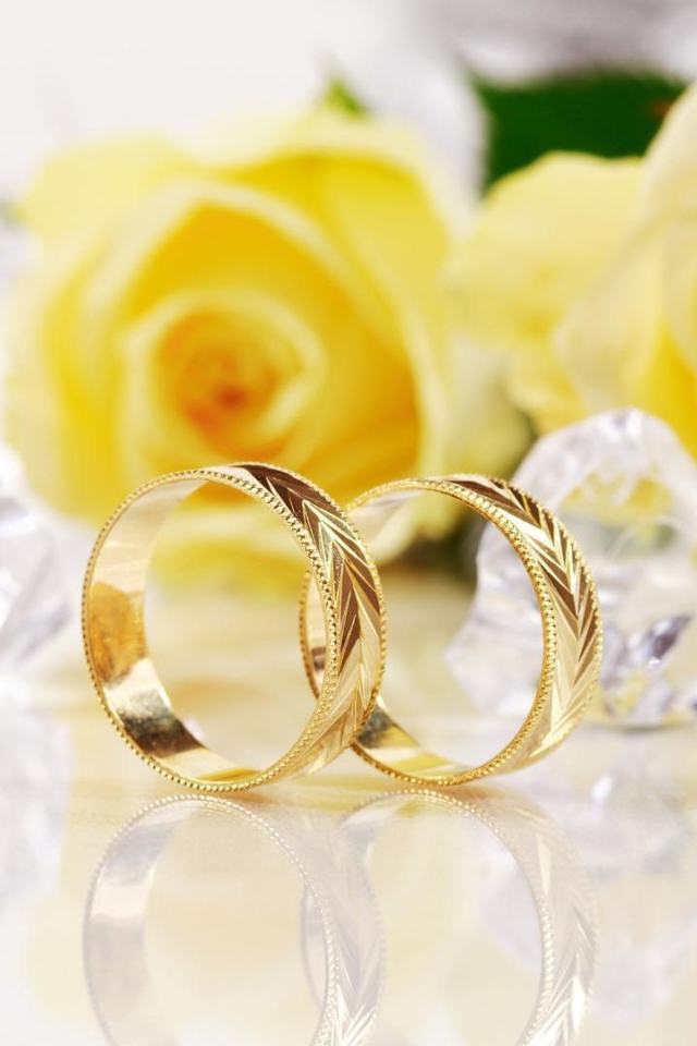 Жёлтые розы и золотые свадебные кольца