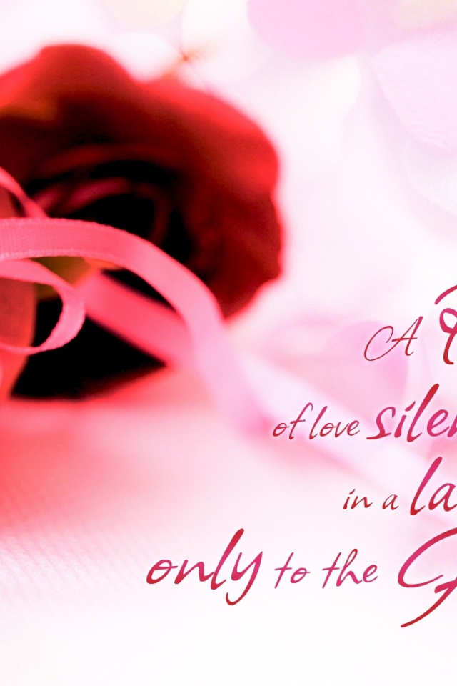 Красные розы и красивые слова о любви