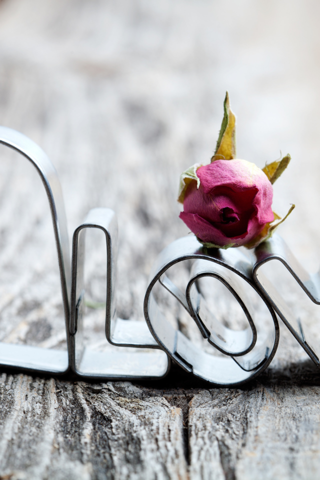 Слово любовь из металла