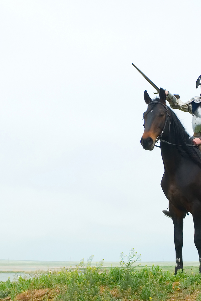 Рыцарь с мечом на лошади