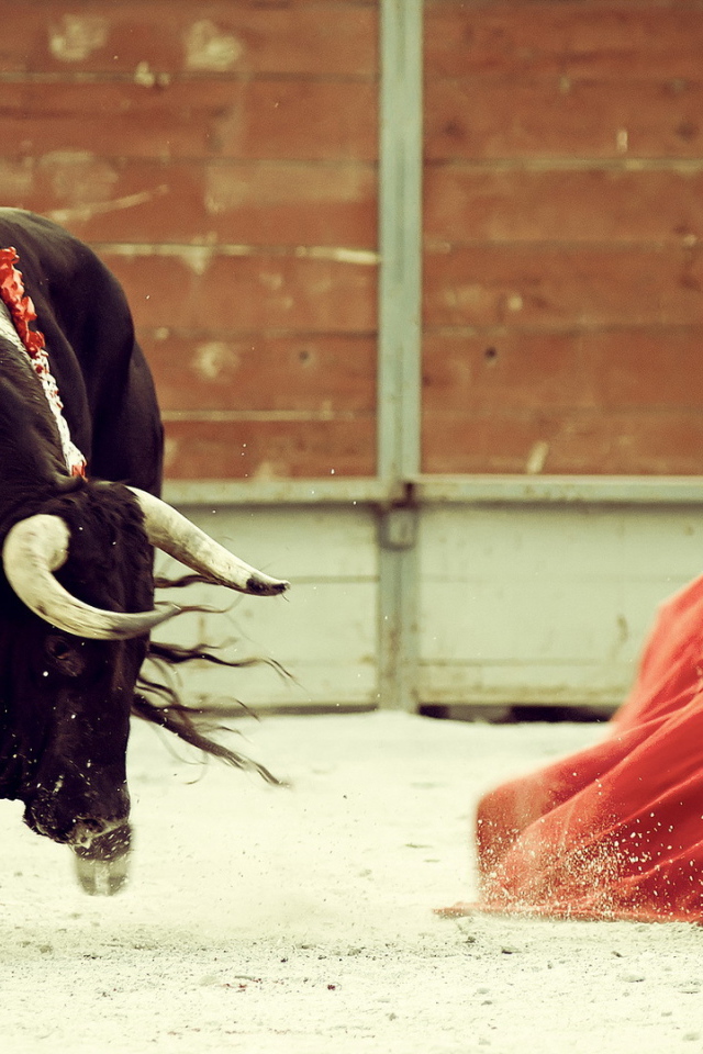 Бык и торреодор