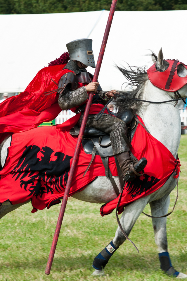 Мужские игры в доспехах