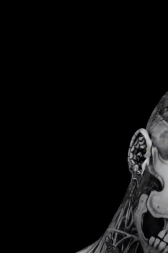 Суперзвезда Рик Жене