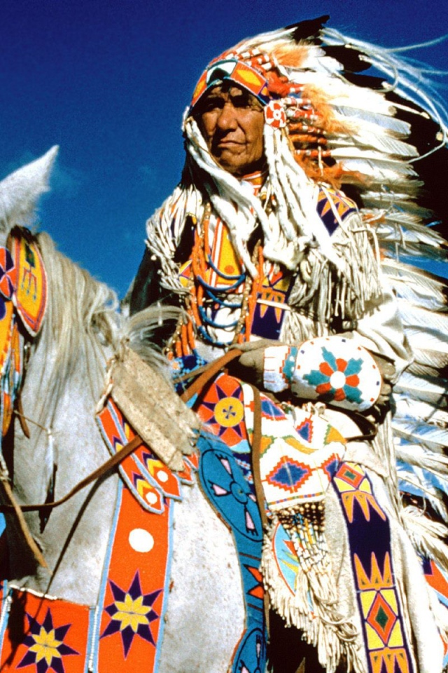 Вождь племени индейцев