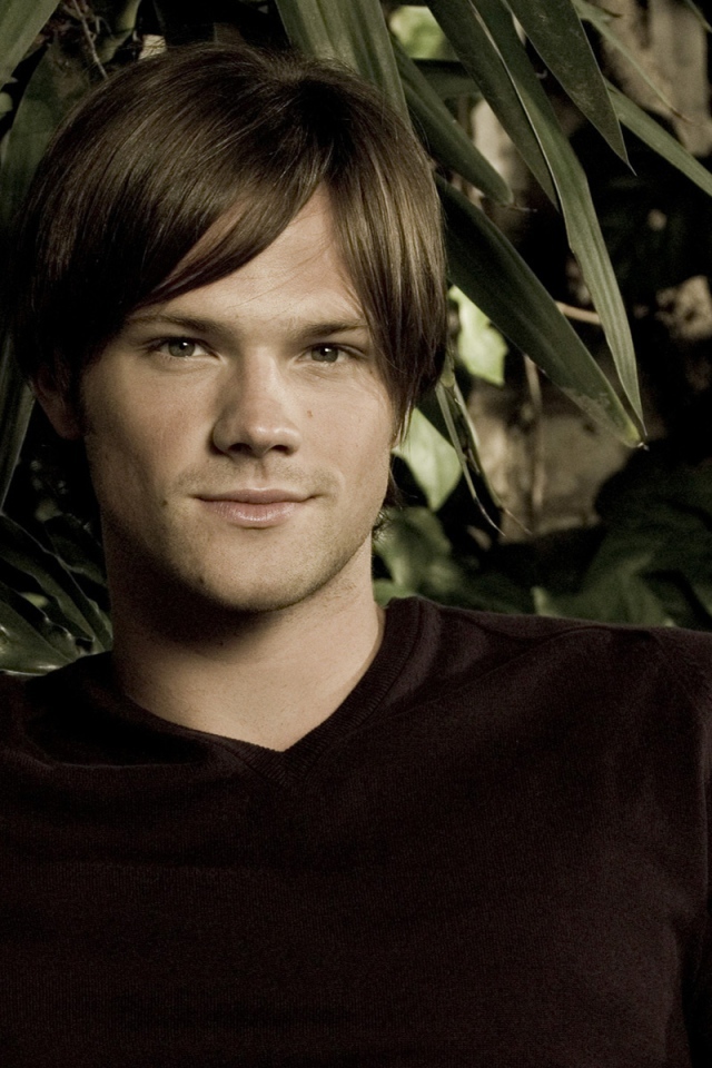 Возлюбленный Актер Джаред Падалеки