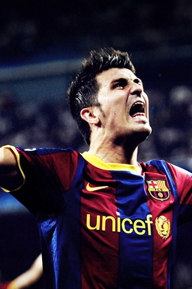 David Villa