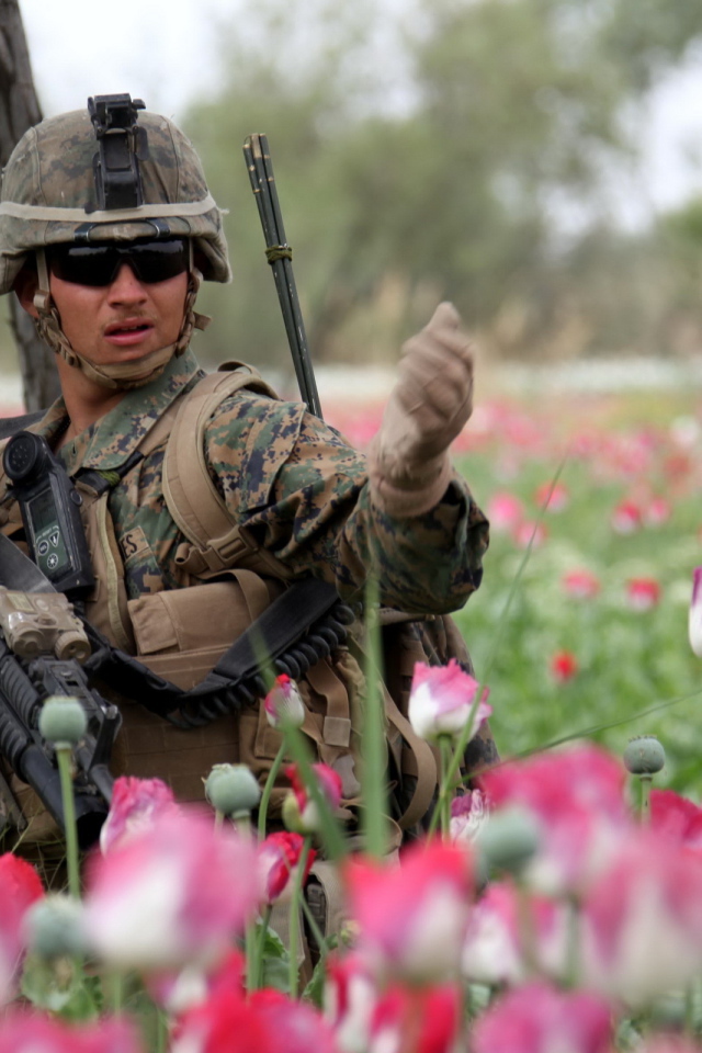 Солдат в розовых тюльпанах
