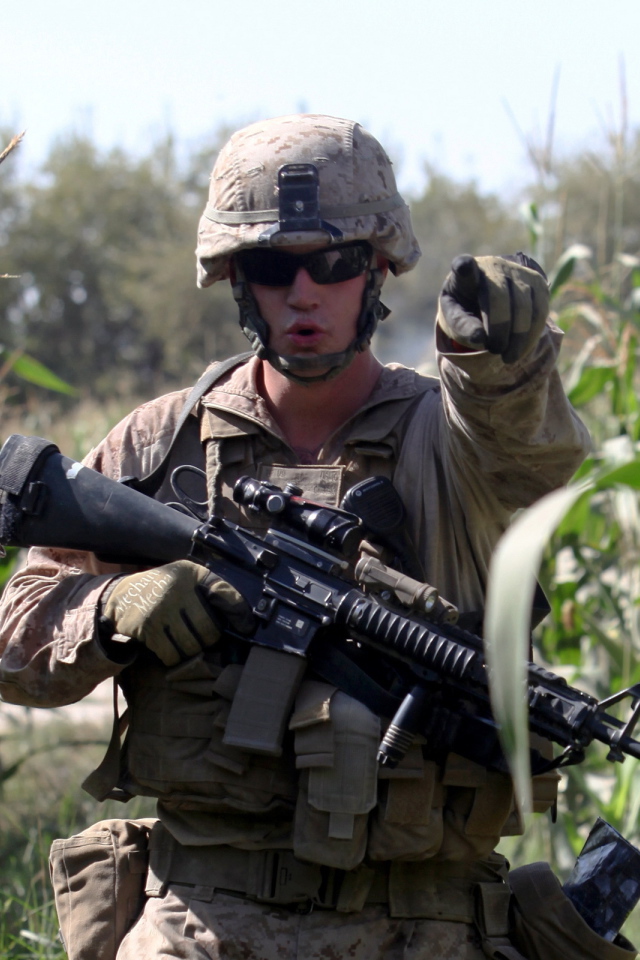 Солдат на кукурузном поле