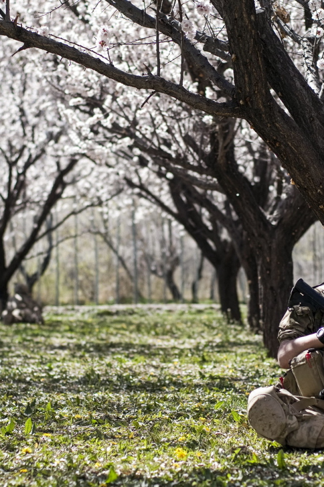 Солдат в цветущем саду