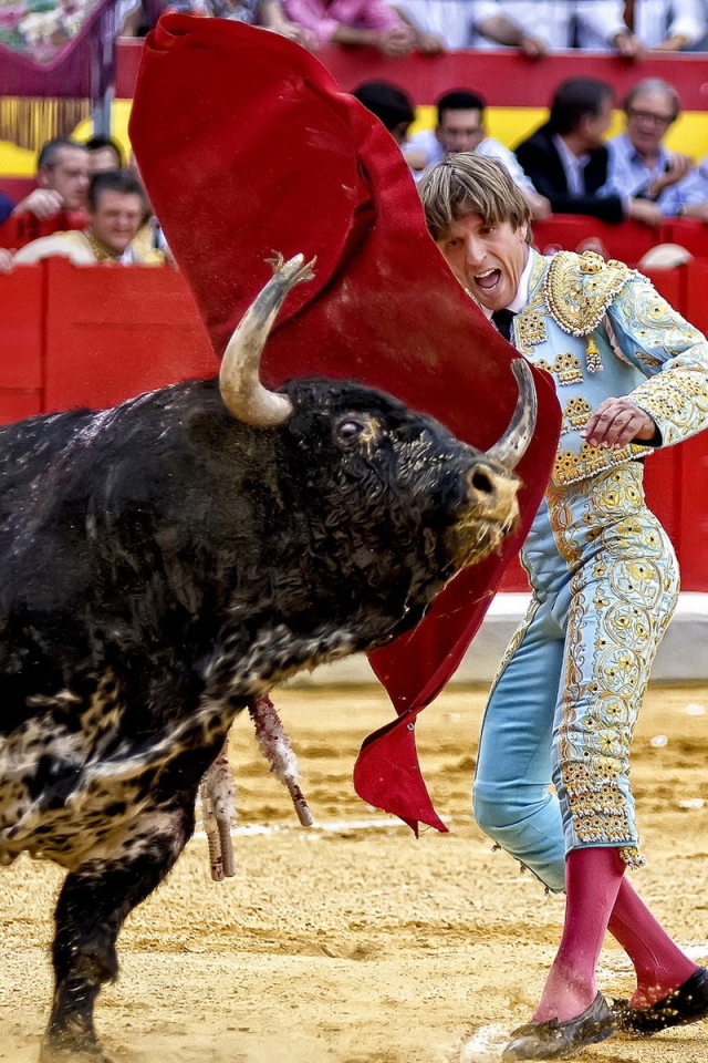 Испанский торреодор