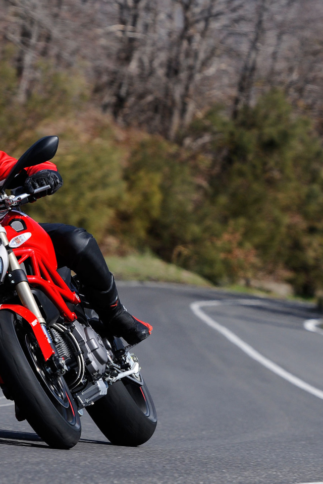 Быстрый мотоцикл Ducati Monster 796 Corse Stripe