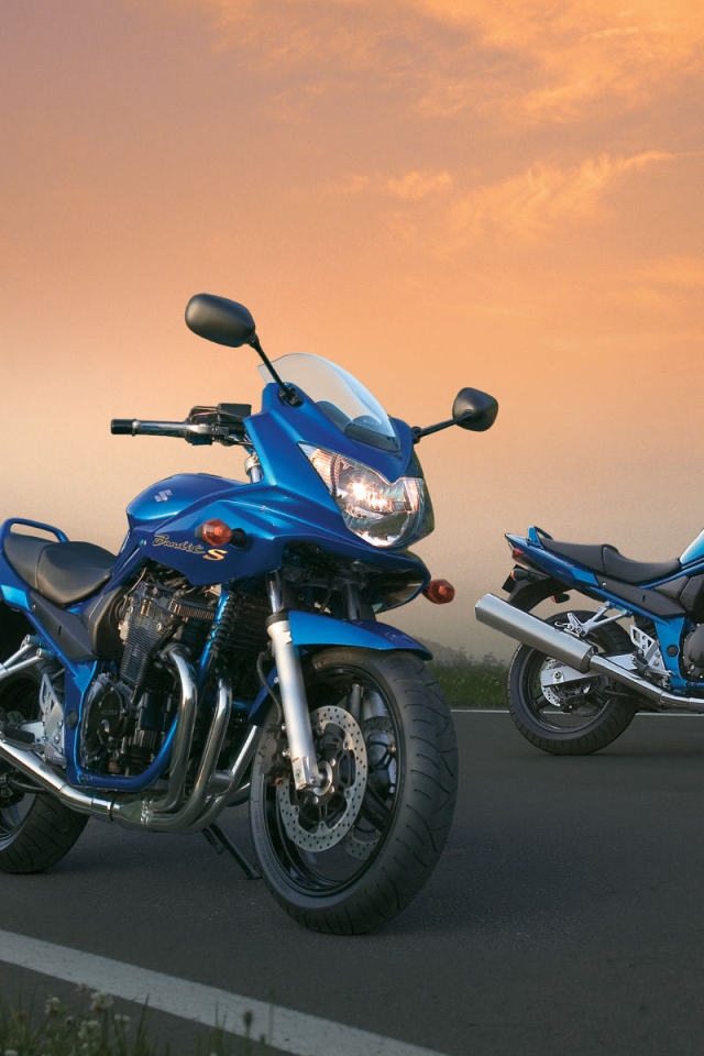 Быстрый мотоцикл Suzuki GSF 650