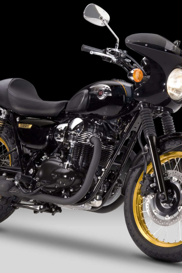 Быстрый мотоцикл Kawasaki W 800