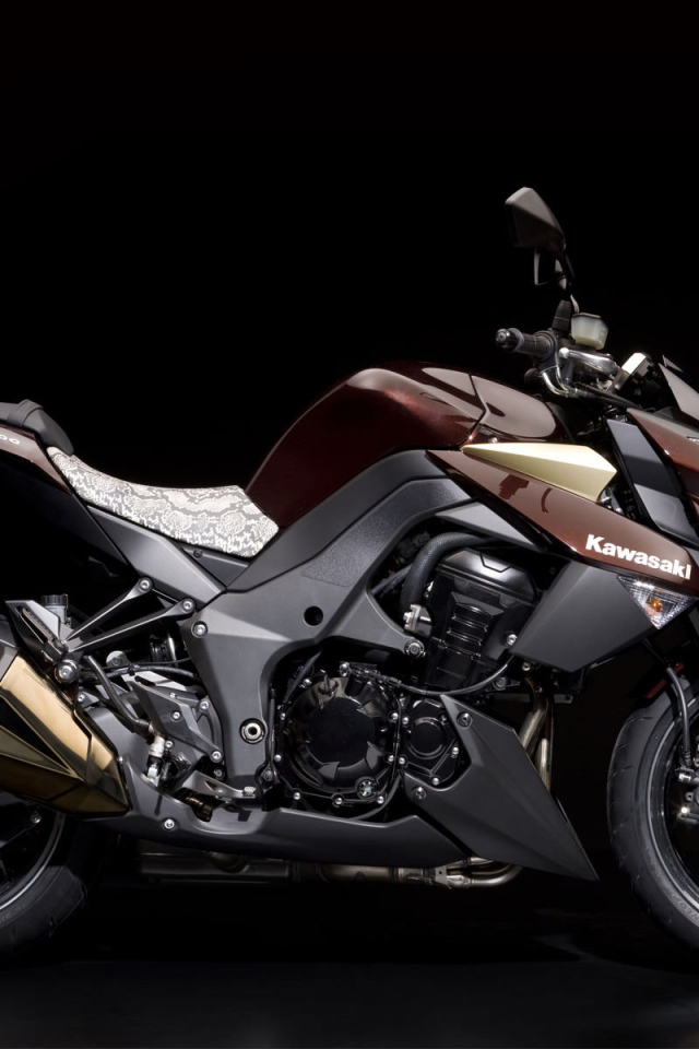 Быстрый мотоцикл Kawasaki Z 1000