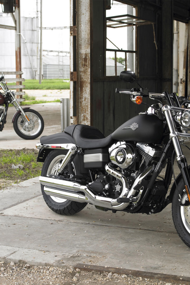 Невероятный мотоцикл Harley-Davidson Dyna Super Glide Custom