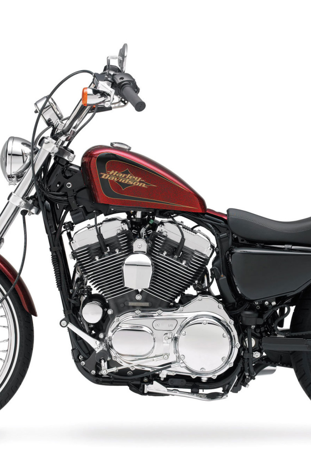 Невероятный мотоцикл Harley-Davidson XL 1200V Sportster Seventy-Two